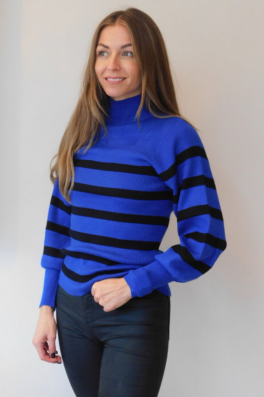 Famous Store Royal Blue Stripe High Neck Jumper